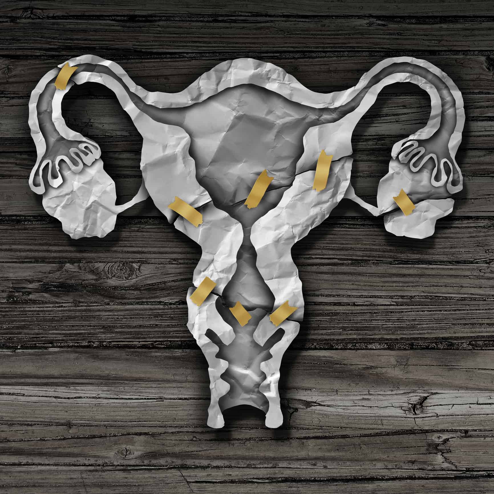 uterus