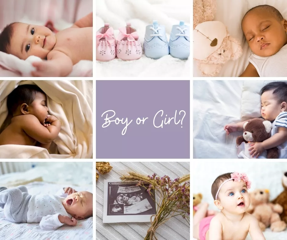 Boy or Girl? How Early can you find out the gender of your baby. Multiple Images