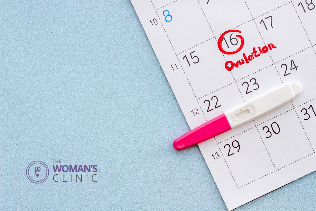 ovulation and fertility