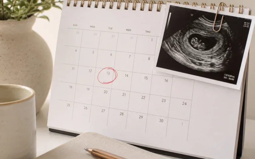 Conception date predictor concept illustrating pregnancy timeline estimation