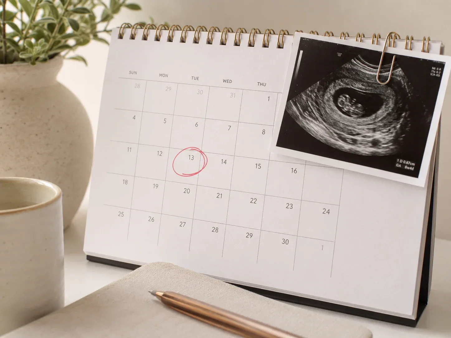 Conception date predictor concept illustrating pregnancy timeline estimation